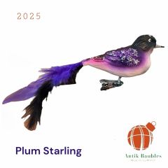 Antik Baubles Plum Starling Clip on Bird Ornament
